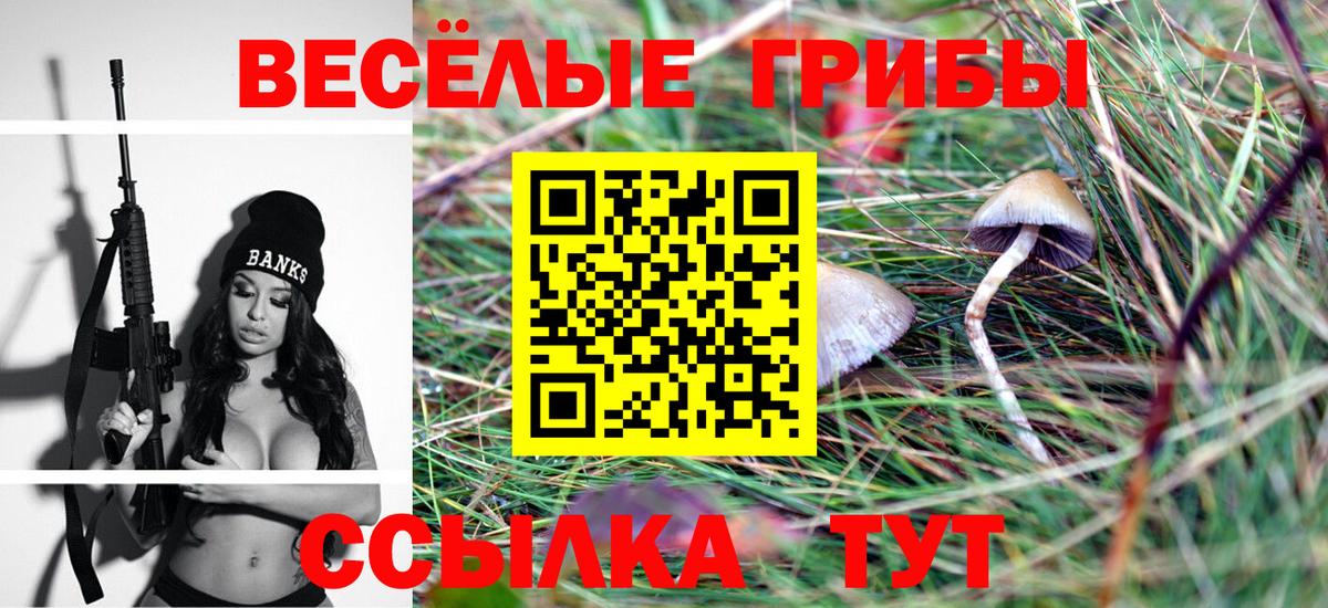 Долгопрудный  Псилоцибиновые грибы GOLDEN TEACHER  Вход с VPN  Псилоцибиновые грибы Psilocybine cubensis 