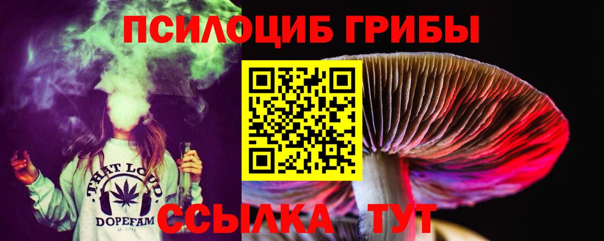 Псилоцибиновые грибы Cubensis Долгопрудный